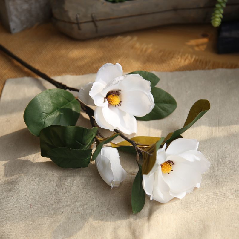 Simulated Magnolia Long Branch Floral Arrangement